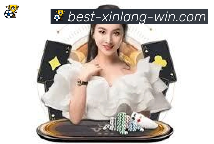 未来规划